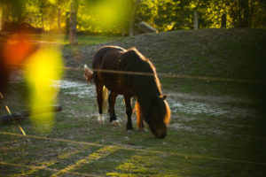 Herbsttag im Steigerwald.Trail