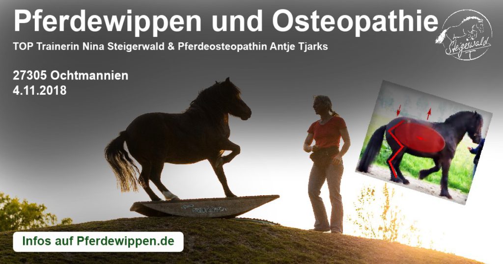 Pferdewippen meets Osteopathie
