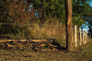 Zaun und Beginn einer Totholzhecke