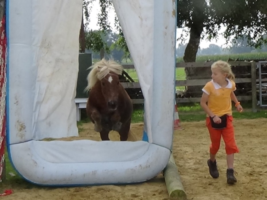 Amadeus im "Poolsprung"