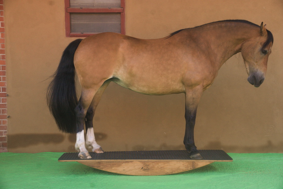 Freya onSteigerwald.T-2000