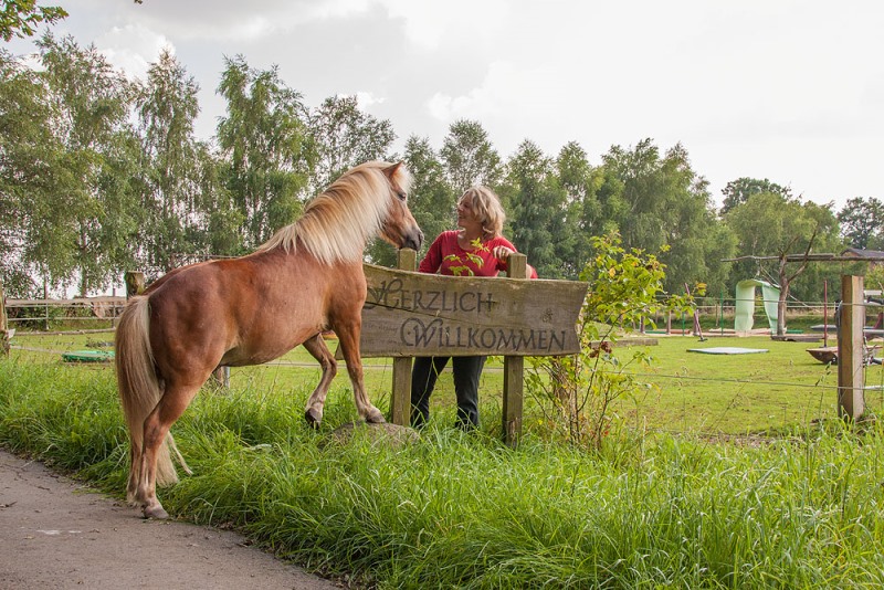 welcome to the Steigerwald ranch