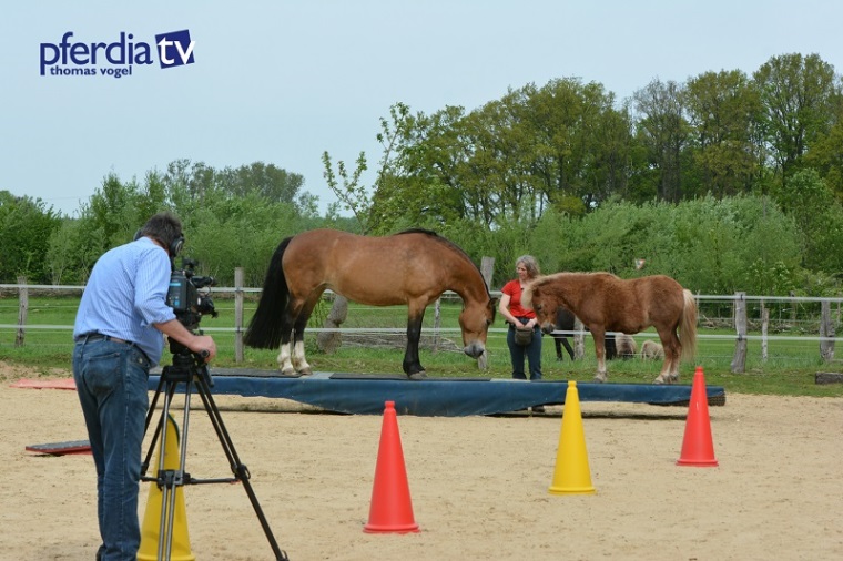 Thomas Vogel beim Dreh zur Agility-DVD