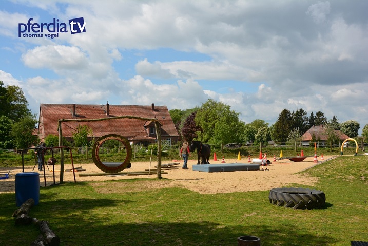 Horse Agility Parcours auf Hof Steigerwald