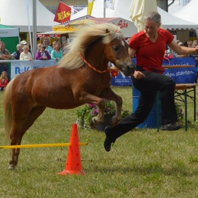 Amadeus at an event in Verden 2015 Amadeus at an event in Verden 2015