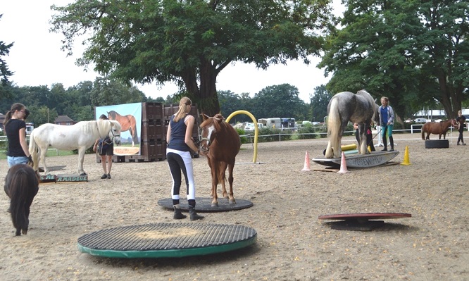 Horse Agility Turnier 2017