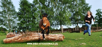 Freya springt über ein Kirschenstamm