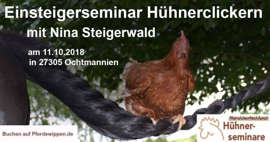 Hühnereinsteigerseminar 2018
