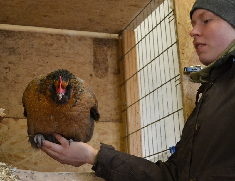 Grissella lässt sich gut anfassen
