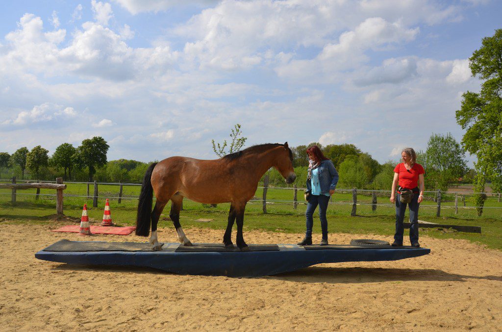 Diana Eichhorn auf der großen Wippe mit Freya und Nina