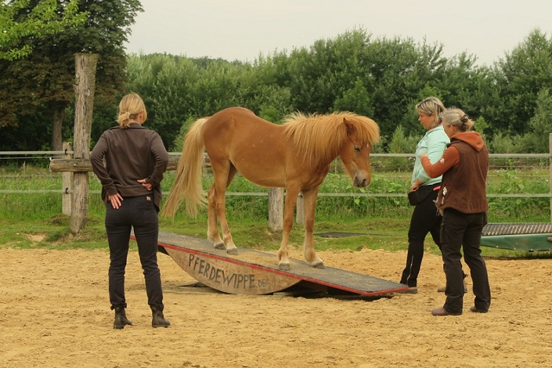Heri auf der langen Holzwippe