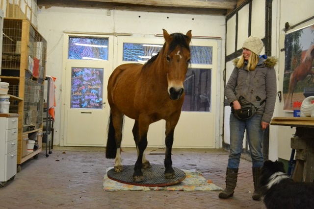 Nerven-Vorbereitung für die Messe