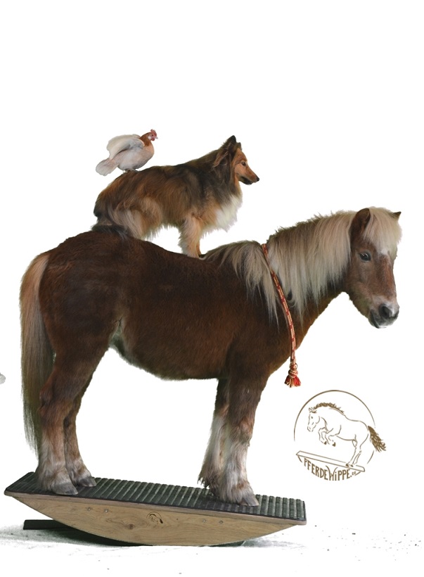 Ochtmannier Dorfmusikanten