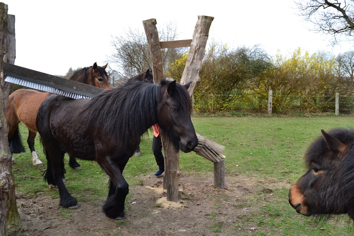 Freya will auch mal :D