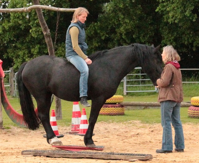 Frieda mit Reiter auf der Zweibeinwippe