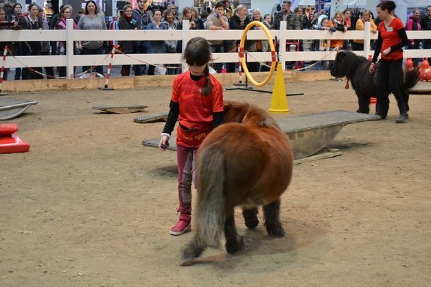 Alessa und Jonny auf der Pferd und Jagd
