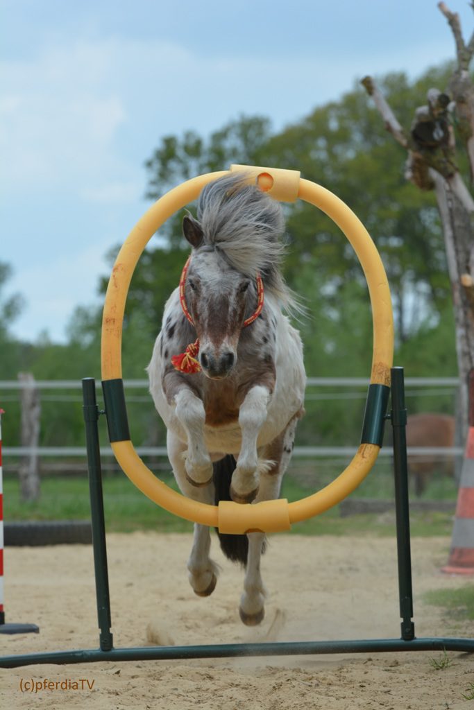Silver im Reifensprung
