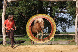 Amadeus im Feuersprung