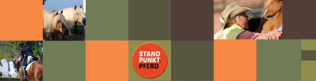 Standpunkt. Pferd