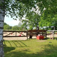 Steigerwald.Training the animal friendly way