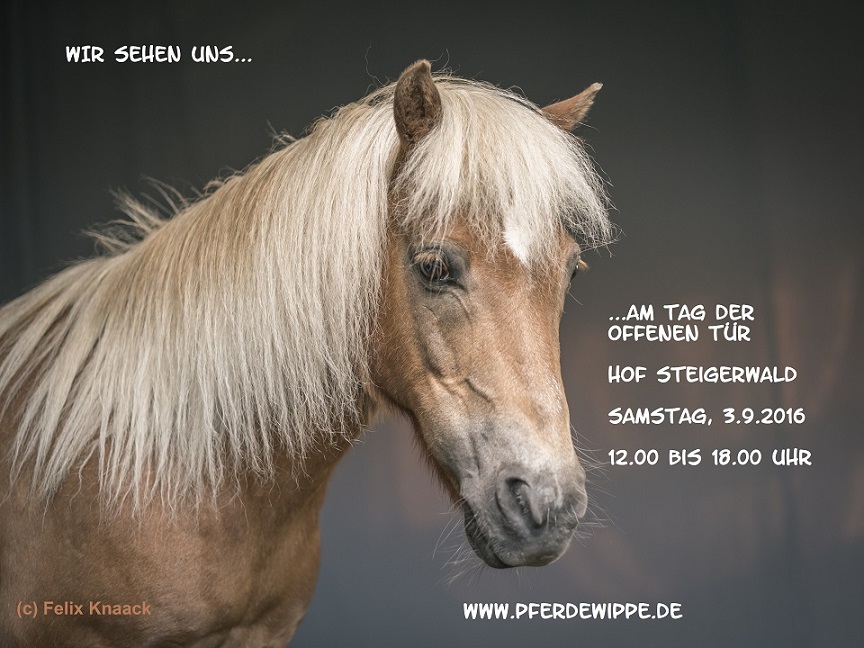 Tag der offenen Tür