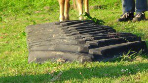 Treckerprofil für Horse Agility