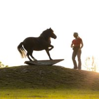 Steigerwald.True Horse Agility Steigerwald.True Horse Agility