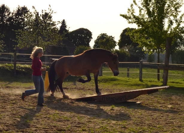 Freya auf der langen Holzwippe