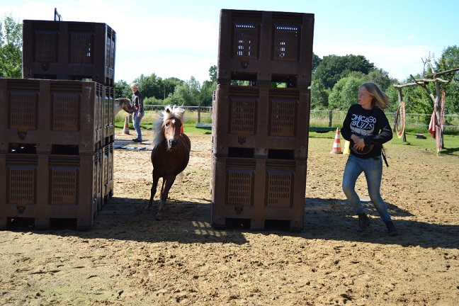 Amadeus galoppiert durch den Tunnel