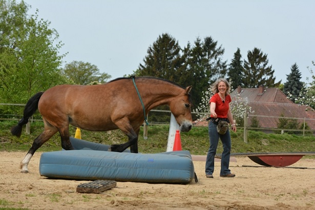 Freya auf der großen Turnmatte