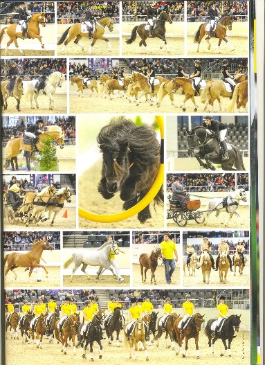 Pony Suse in der Mitte