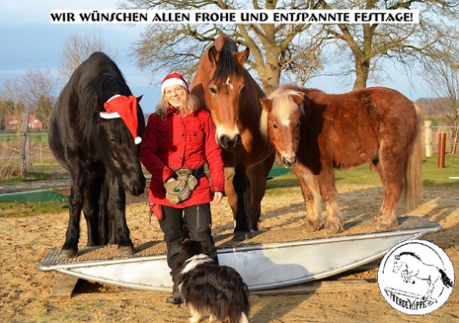 Frohe Weihnachten 2016!