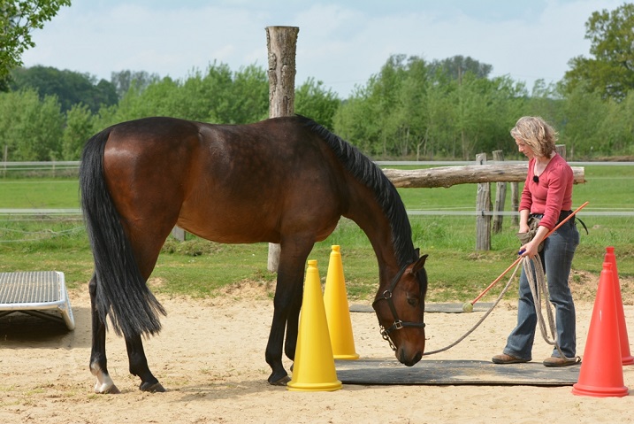 Vorbereitung für die Wippe