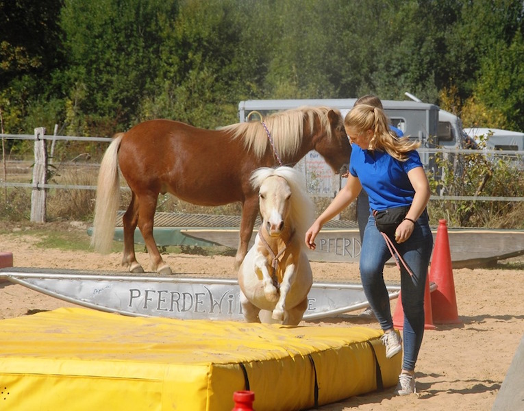Agi Event auf Hof Steigerwald