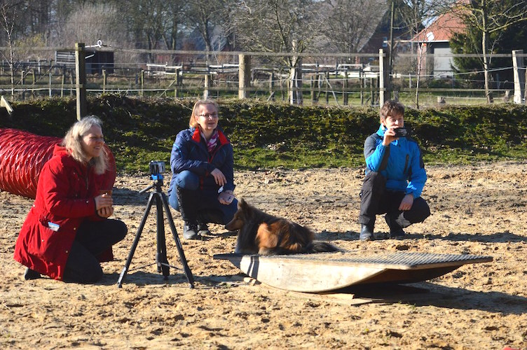 Wippentrainer Wochenende 2019