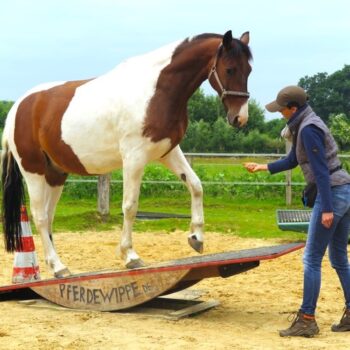 Steigerwald.Trainer Nadine Wachtmeister Steigerwald.Trainer Nadine Wachtmeister