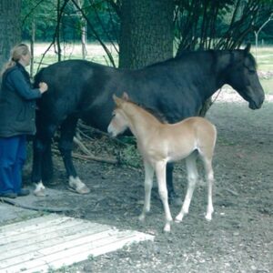 Freya and her mother Jule Freya and her mother Jule