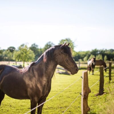 Frieda enjoying the sun Frieda enjoying the sun