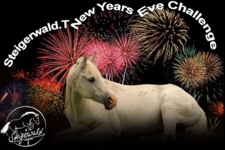 New Year's Eve Challenge 2019 New Year's Eve Challenge 2019