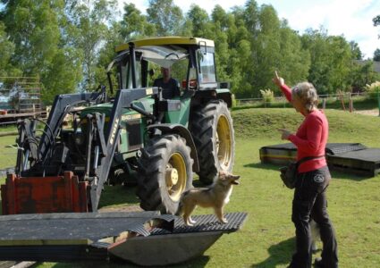 Nina und Mario Steigerwald - jeder bei seiner Arbeit