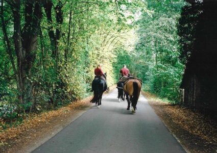 Nina und Mario Steigerwald unterwegs zu Pferde