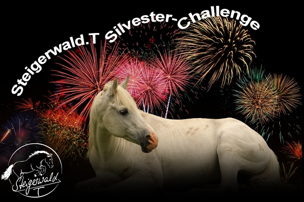 Steigerwald.T Silvester-Challenge