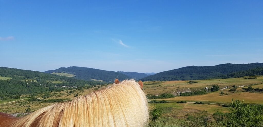 Amadeus hält Ausschau über die Berge Südfrankreichs