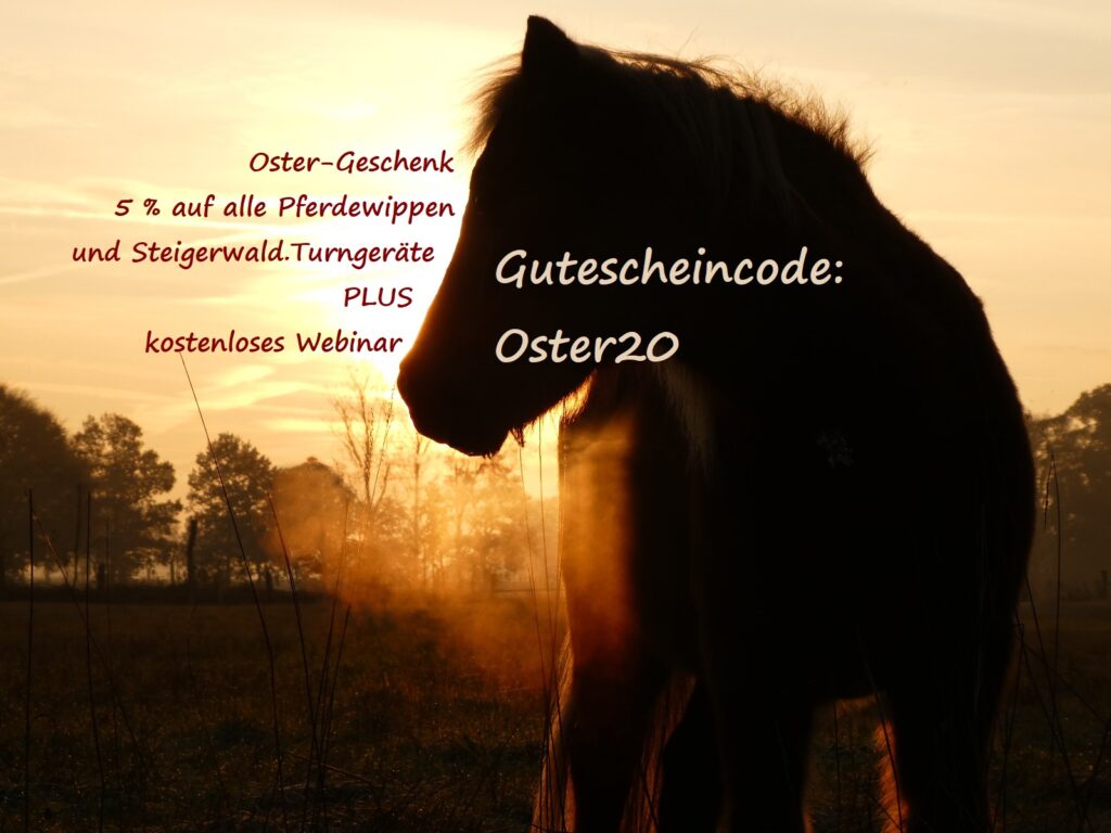 Ostergeschenk Pferdewippen-Rabatt