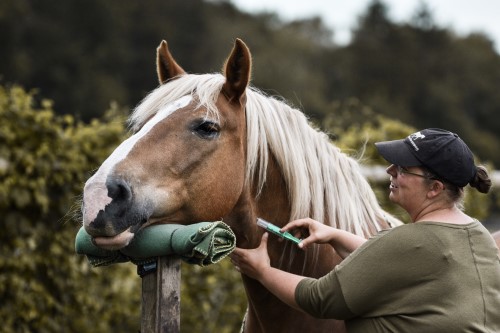 Medical Training mit Kooperator