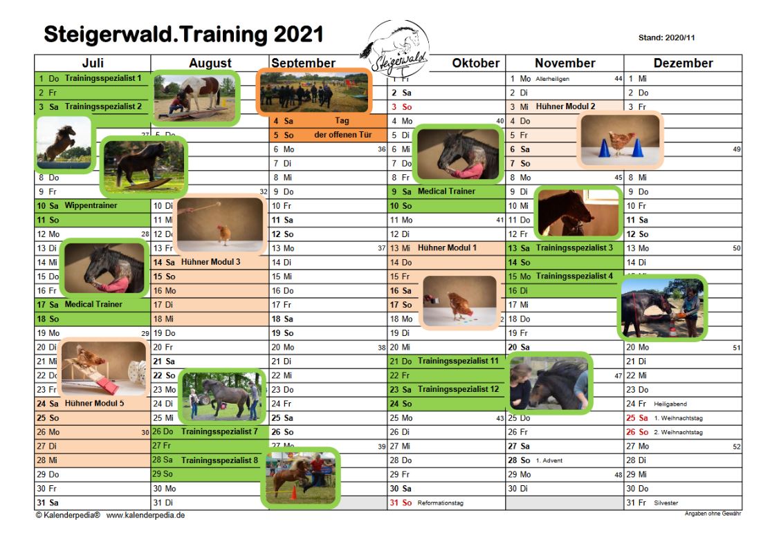 Steigerwald appointments from July to December 2021