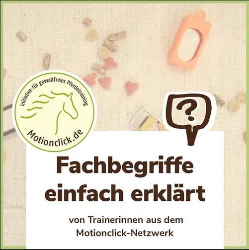 Das Motionclick Trainer Netzwerk