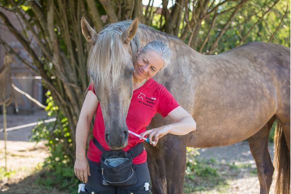 nina pferd spritze koopertation