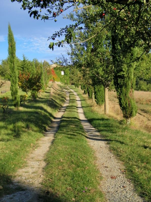 Die idyllische Auffahrt zum neuen Zuhause