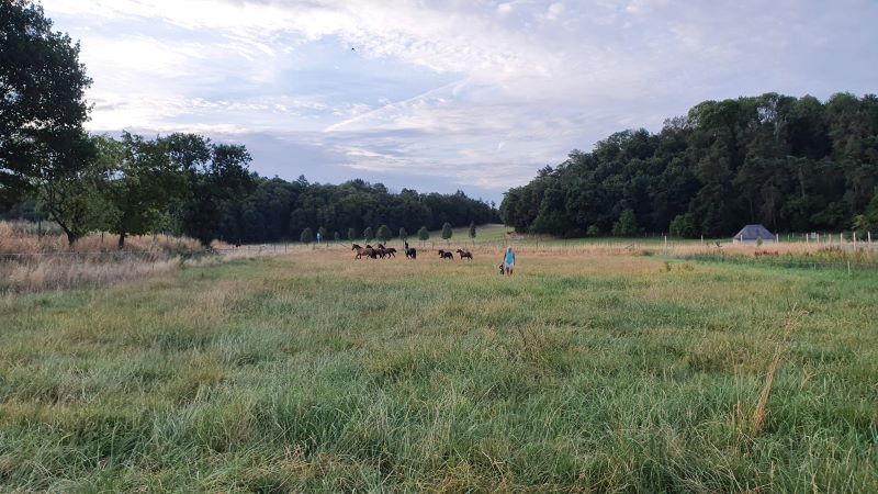 Erstes Etappenziel und erste Pause auf dem Scheuerhof von Viviane Theby
